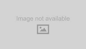 18006 Lucas Oil Products Transmission Fluid For Smooth Shifting