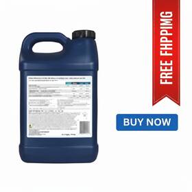 Shell 1213906 Rotella T6 Diesel Full Synthetic Engine Oil 15w-40 10 Quart 1 Pack