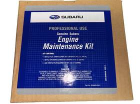 Subaru Soa868v9341 Professional Engine Maintenance Kit -p.e.a. Carbon Throttle Plate Cleaner
