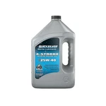 Quicksilver 25W-40 Marine Engine Oil 1 Gallon. Fixed Price $59.99.