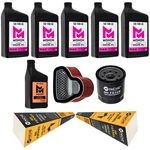 Mishon Full Service Oil Change Kit For Honda VTX1800 C1 C2 C3 2006-2007. Fixed Price $127.95.
