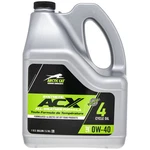 Arctic Cat 2436-857 Acx 0W-40 Synthetic 4-CYCLE Engine Oil 1 Gallon Bottle. Fixed Price $68.99.