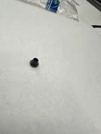 Genuine Ford Door Shell Plug W708928-S300. Fixed Price $7.63.