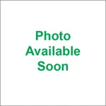 Motorex Shine MS1 309451. Fixed Price $23.99.