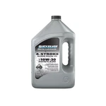 Quicksilver 10W-30 4-STROKE Synthetic Blend Marine Engine Oil, Gallon. Fixed Price $58.85.