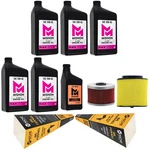 Mishon Full Service Oil Change Kit Honda Foreman TRX500FE TRX500FM 2007. Fixed Price $118.95.