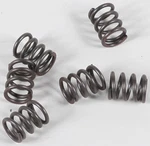 Ebc Clutch Spring Kit CSK21. Fixed Price $12.98.
