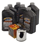 Oil Change Kit For Harley-davidson Twin Cam Spectro 20W50 Synthetic Platinum. Fixed Price $246.26.