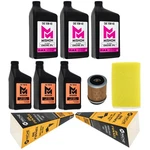 Mishon Full Service Oil Change Kit For Yamaha Big Bear YFM350 1989-1997. Fixed Price $109.95.