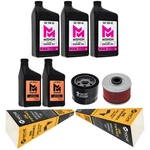Mishon Full Service Oil Change Kit For Honda Fourtrax TRX300 2000. Fixed Price $96.95.