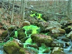 Rekhaoil Tracer Dye Detect Leaks In Sewage Systems , 8 Oz Bottle. Fixed Price $45.00.