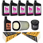 Mishon Full Service Oil Change Kit For Yamaha FJR1300ES 2003-2022. Fixed Price $127.95.